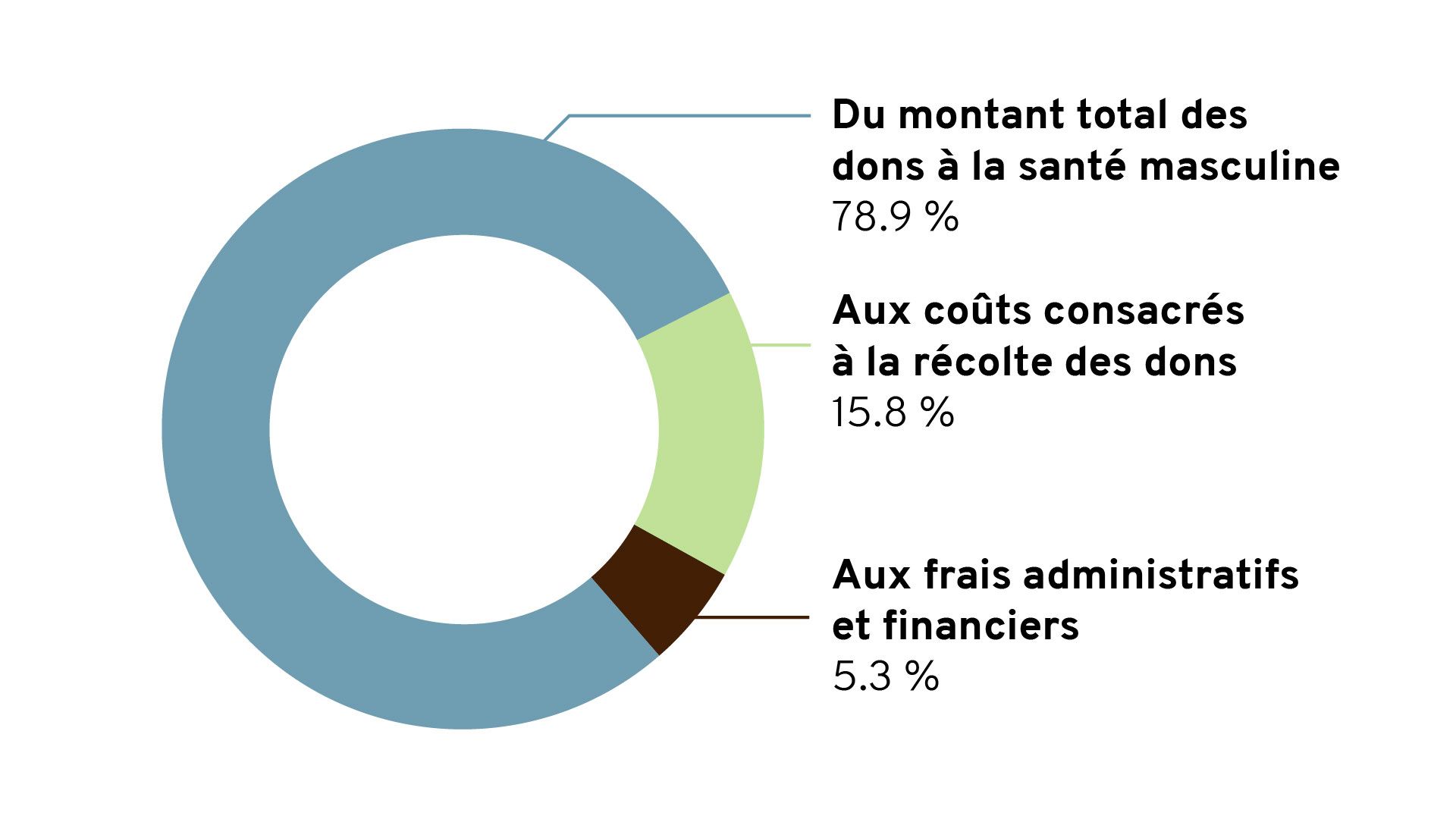 Pie chart showing Movember's financial information.